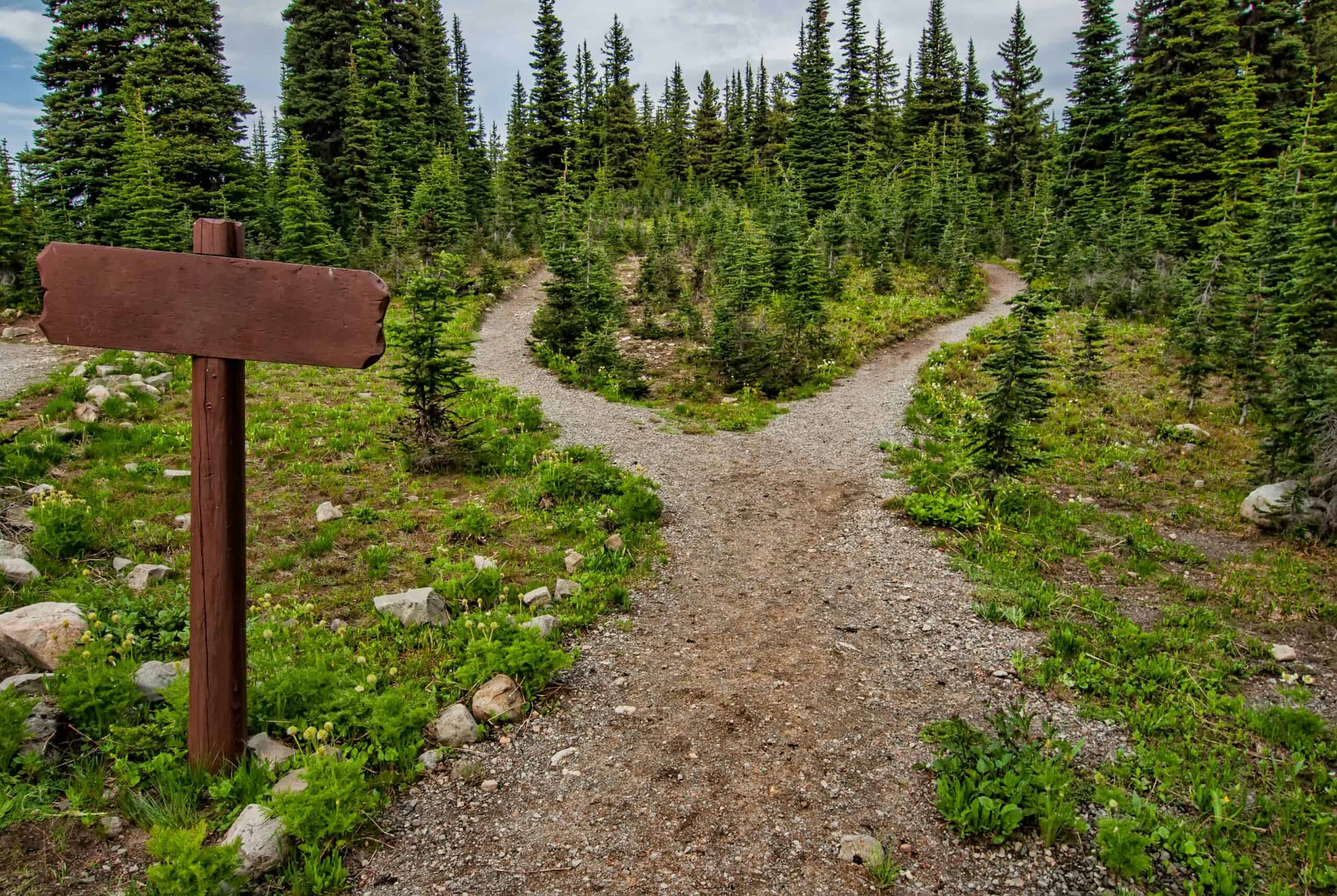 Franchise vs. Independent fork in the road.